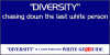 Diversity - Chasing Down.gif
