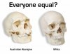 Everyone Equal.jpg