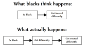 What Blacks Think Happens.png