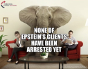 None Of Epstein's Clients.png