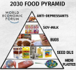 WEF Food Pyramid.png