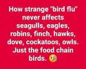 1745187930869.png